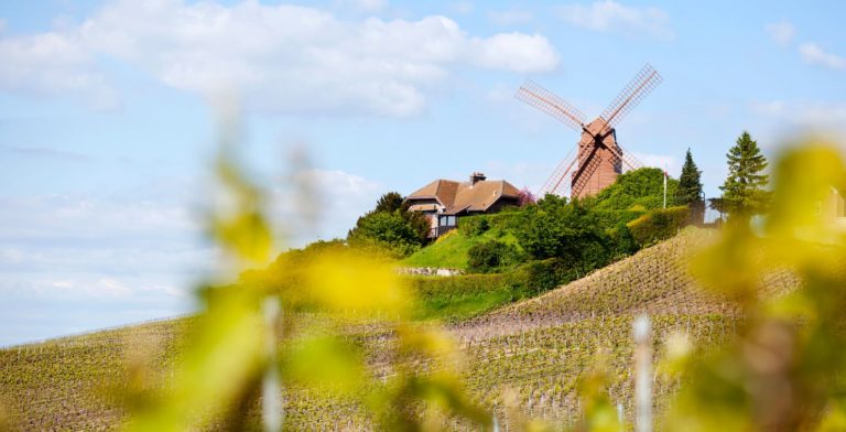 Pomenade-dans-les-vignes walk in vineyards Finding France