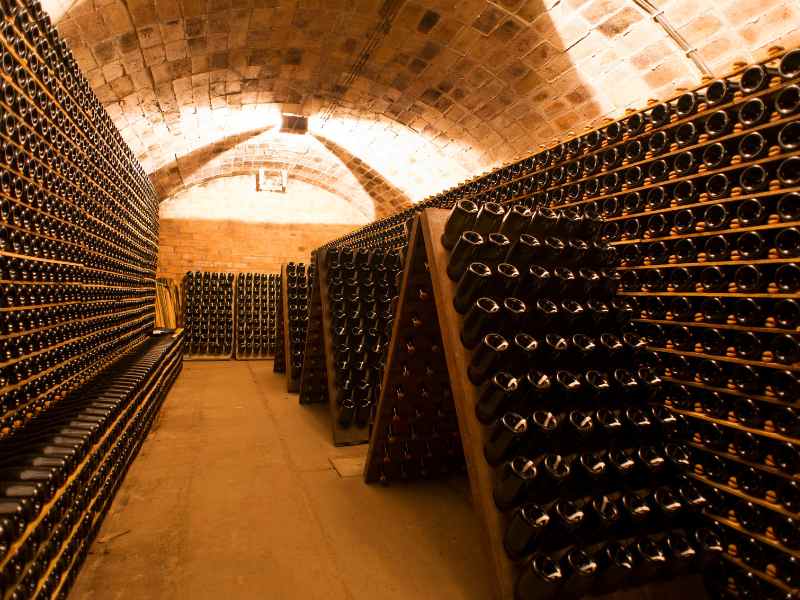 champagne cellars