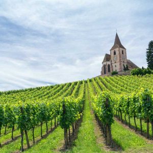Burgundy-3day-itinerary-finding-france-