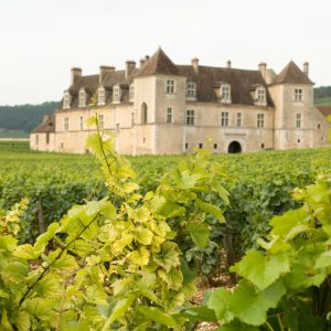 Burgundy Tour - chateau de vougeot