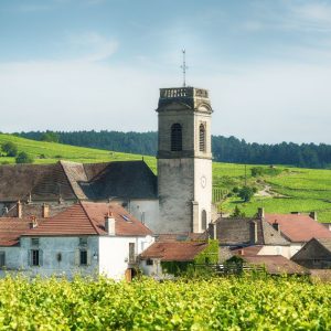 Burgundy tour - Chateau de Pommard