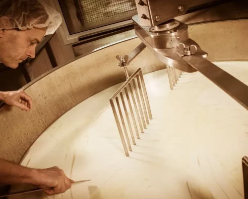 Cheesemaker -Traditional Cheese Making at a Creamery