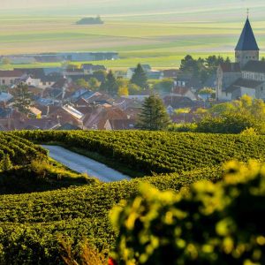 SEMINARS & INCENTIVES in CHAMPAGNE