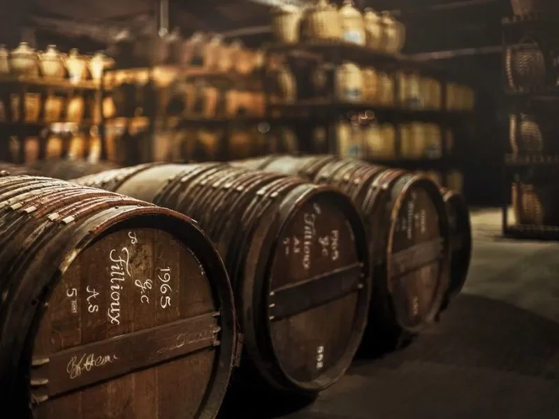 chai-paradis-visites-hennessy-jas-hennessy--co-©jean-philippe-lebee-extreme_9