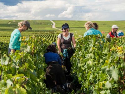 champagne-3day-itinerary-finding-france-vignes