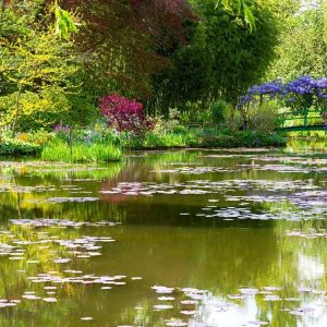 finding-france-Tailor-made-4day-tour-giverny