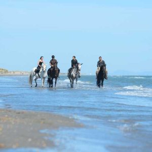 finding-france-mont-saint-michel-plage-chevaux