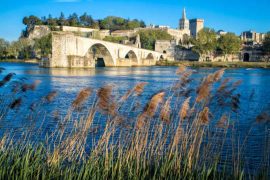 finding france provence avignon_food and wine trip14