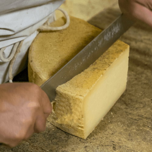 cheese producer Finding France