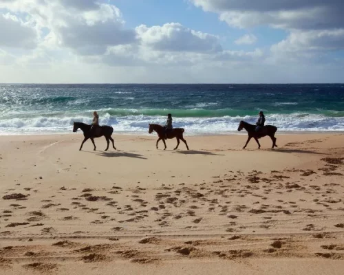 horseback riding_beach_activity_Murtoli @Camille Moirenc