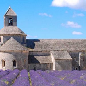 provence-6day-itinerary-finding-france-abbaye-notre-dame-de-senanque