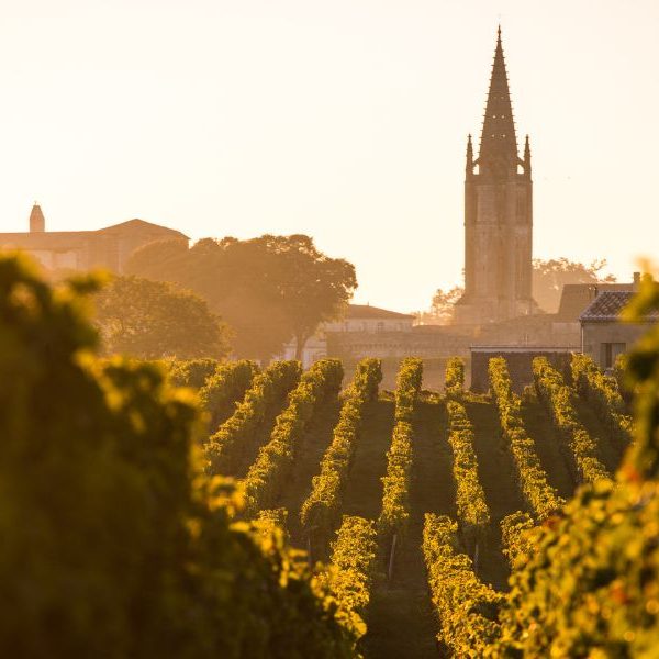 saint emilion tailor-made itinerary