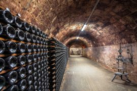 Champagne Cellar Finding France