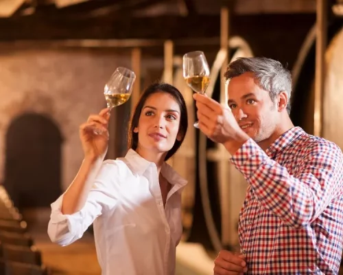 wine tasting french alps